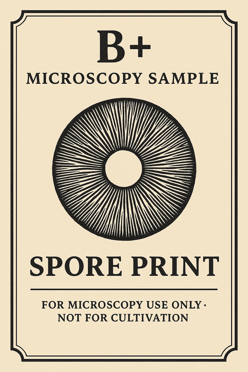 B+ Microscopy Sample – Spore Print (For Microscopy Use Only)